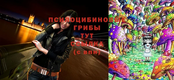 прущие крисы Семилуки