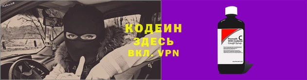 крисы Богородицк