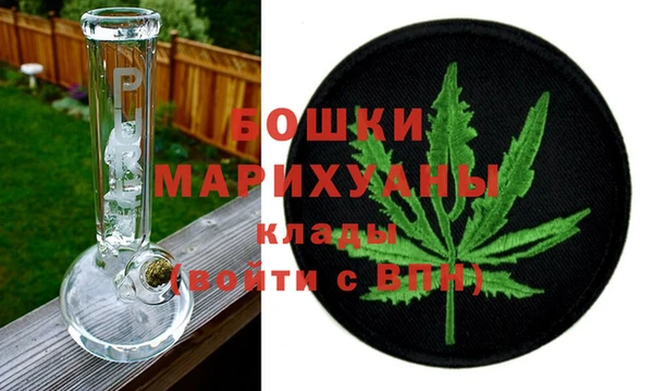 крисы Богородицк