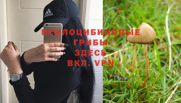 эйфоретик Семикаракорск