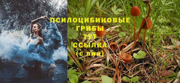 дурь Новокубанск